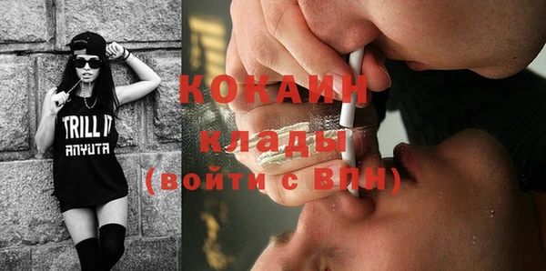 стаф Магас