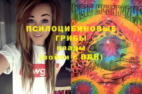 гашик Медногорск