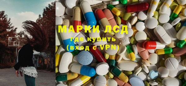 сатива Медвежьегорск