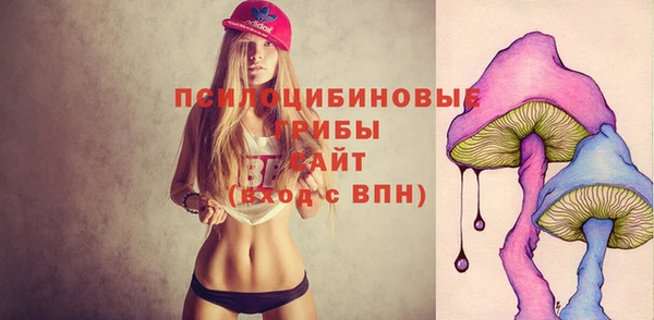 молекула духа Магадан