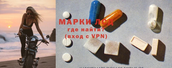 молекула духа Магадан