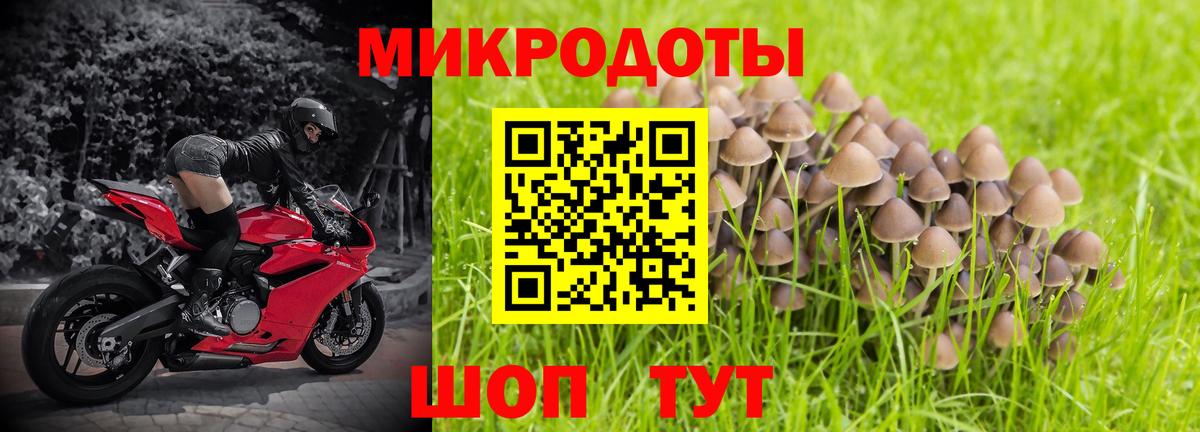Галлюциногенные грибы мухоморы Красноярск