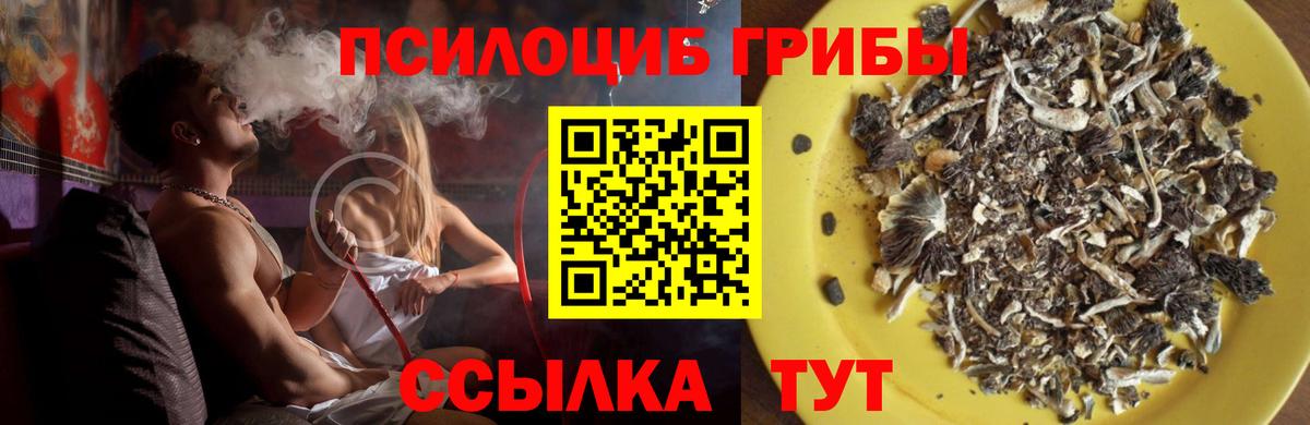 Молли  Вход с VPN  Кислота  МДМА  NBOMe  Красноярск  Плюхи  МАРИХУАНА  МЕФ  Вейп ТГК  КОКАИН 